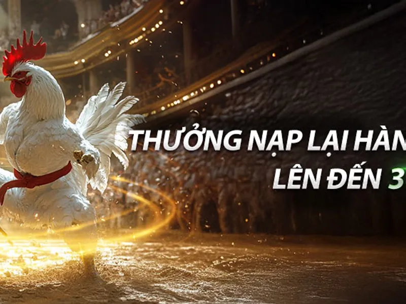 Khuyến mãi nạp tiền hàng ngày onebet casino